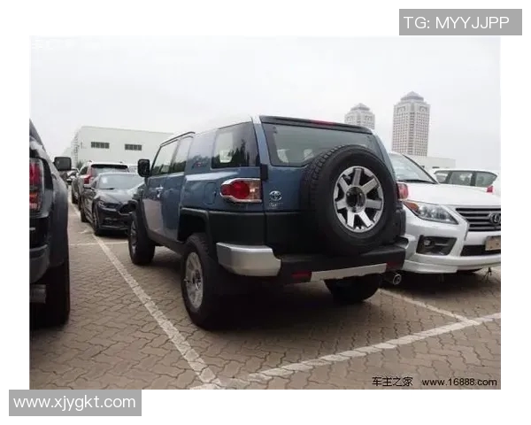 西安羽毛球队在洲际杯积分榜上以53分稳居第一名,展现强劲实力