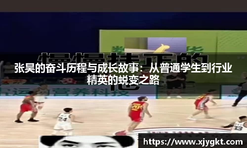 3377体育官网