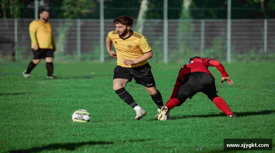 6686官网感受挑战，享受成长